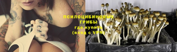 apvp Новозыбков