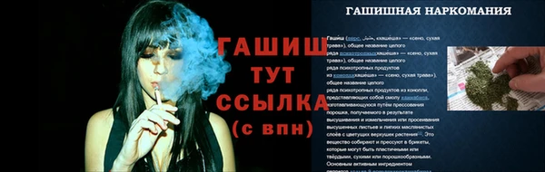 шишки Бабаево