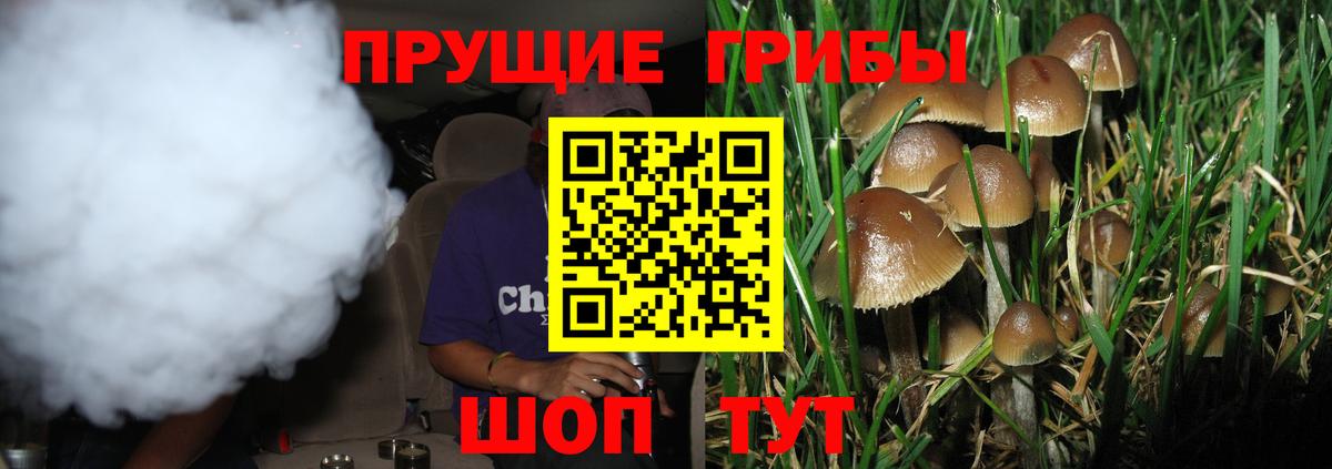Псилоцибиновые грибы прущие грибы  Псилоцибиновые грибы прущие грибы  Вход с VPN  Иркутск 